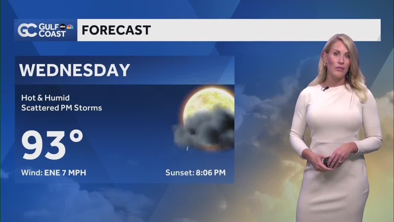 Gulf Coast Forecast: Summer pattern brings rain and storms again ...