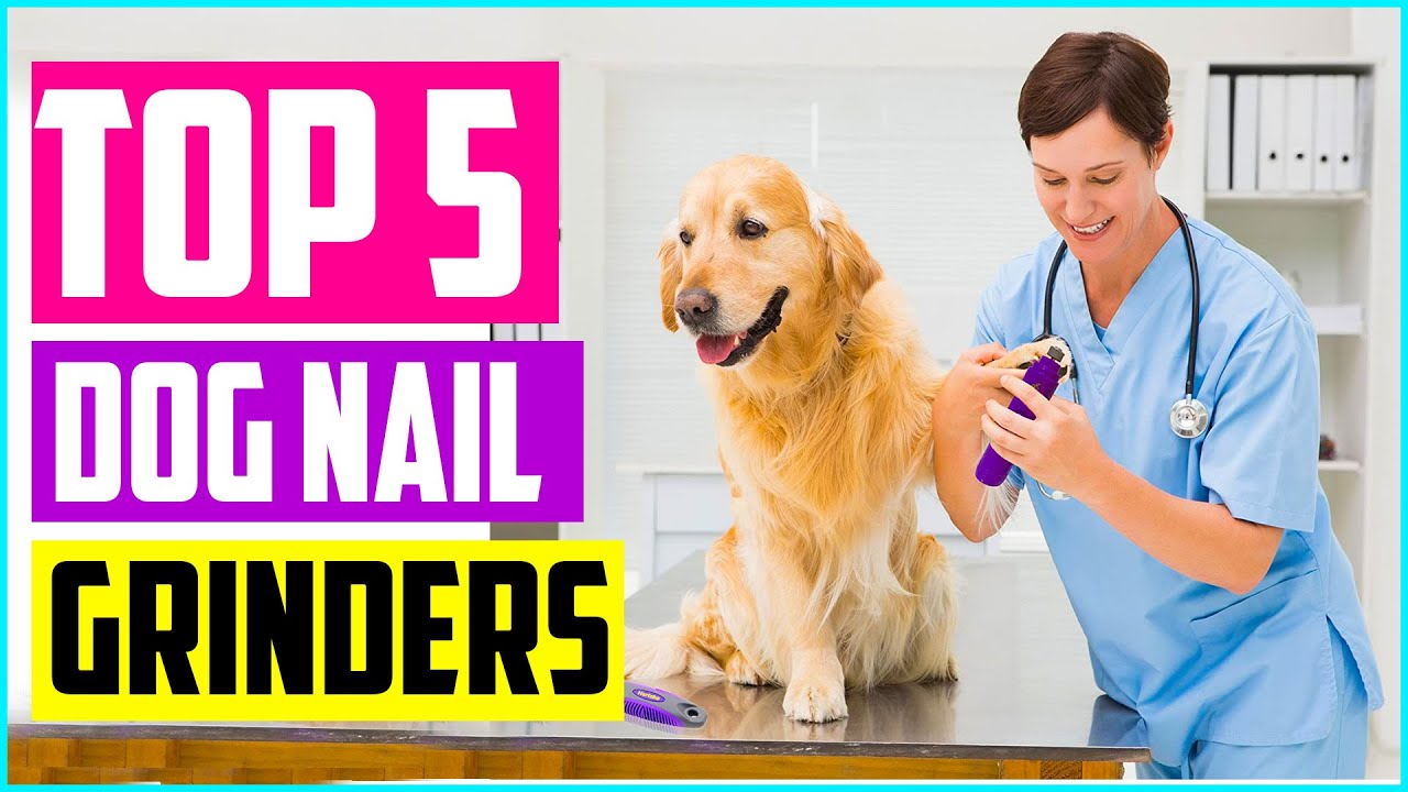Best Dog Nail Grinders Reviews 2020