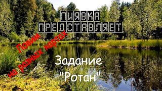 РОТАН ловим на разных локациях / картах #MyFishingworld