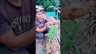 bonus bersihin mesjid dapet  jekpot #shorts