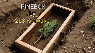 YOUTUBE EXCLUSIVE - HEAR THESE WORDS - PINEBOX - music content - 2L8 