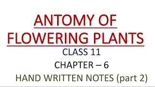 CLASS 11| BIOLOGY | CHAPTER 6 |  ANATOMY OF FLOWERING PLANTS | HAND WRITTEN NOTES | PART - 2 screenshot 5