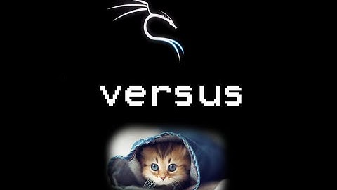 theannoyingsite vs Kali Linux