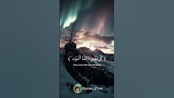 اكتب شيء تؤجر عليه 🤍🌸‎ #تلاوات #اكسبلور  #عبدالرحمن_مسعد #explorer #تريند #قرآن #حالات_واتس