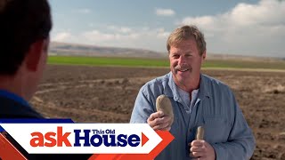 how to grow potatoes | ask this old house