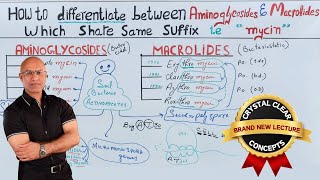 Antibiotics | Aminoglycosides vs Macrolides