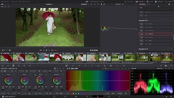 ビネットを使って映像に没入感を追加してみよう -『DaVinci Resolve よくばり入門 18対応』解説動画