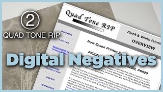 The Digital Negative - Part Two - Quad Tone Rip