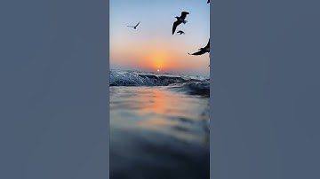 {إن الله وملائكته يصلون على النبي...} سورة الأحزاب  الشيخ عبدالباسط عبدالصمد