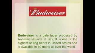 Job Opportunity at Budweiser