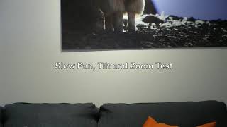 Bird Dog P200 Slow Pan Tilt And Zoom Test