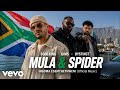 Soolking x GIMS x DYSTINCT – Mula &amp; Spider (Official Music)