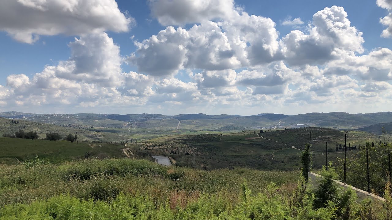 جولة في شوارع قرية برقة نابلس والطبيعة الخلابة بنهاية الشتاء  Drive in village burqa nablus street