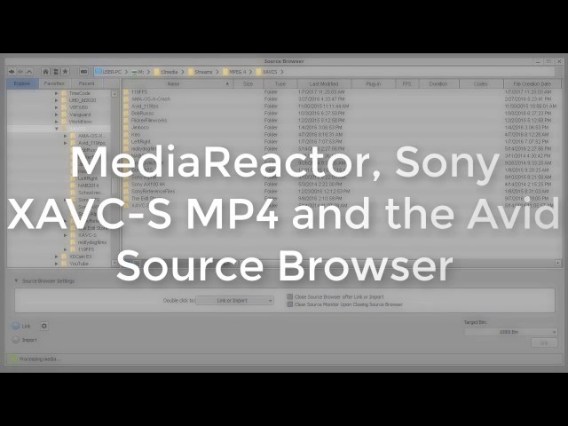 MediaReactor for Sony MP4 XAVC-S in the Avid source browser class=