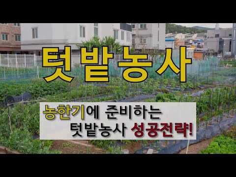 텃밭농사 농한기에 준비하는 텃밭농사 성공전략! #주말농장 #텃밭 잘 가꾸는 방법