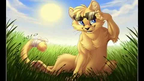 Tonight Tonight MEP! Complete!