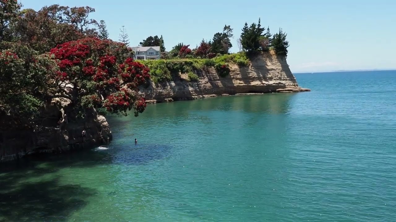 Best Beaches New Zealand🐳little & big manly beach🐠amazing places to visit🐟top things to do🦀walk tour