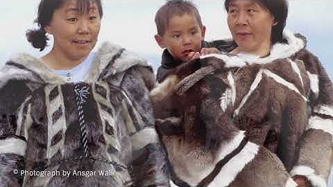 What affects our level of intelligence?