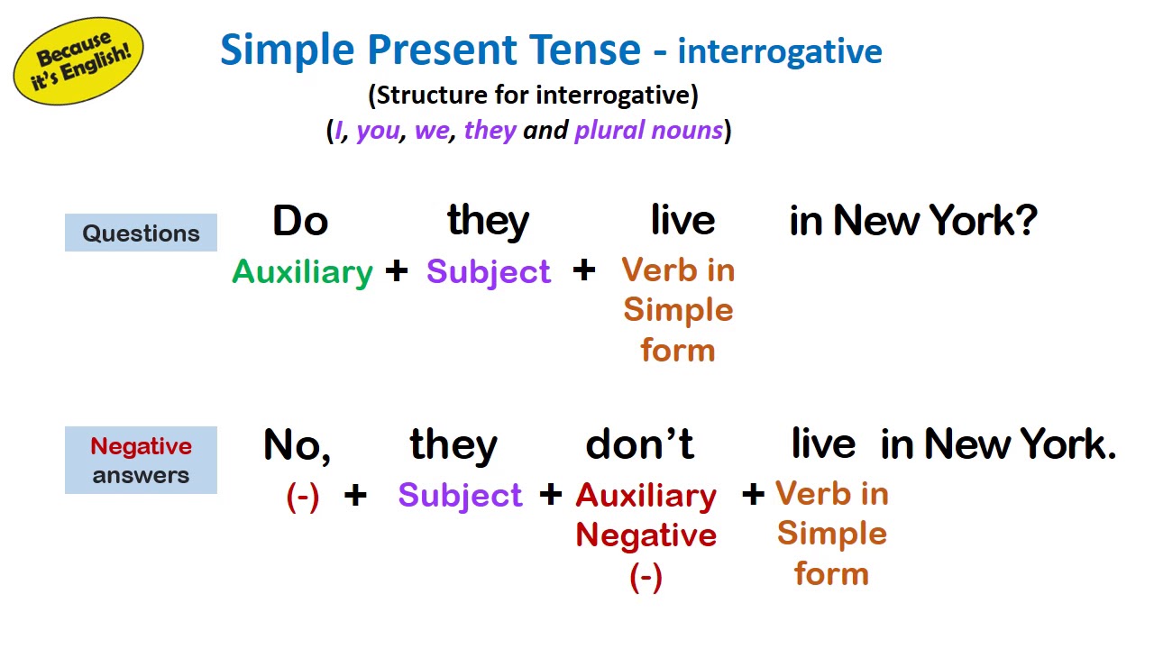 simple-present-tense-interrogative-youtube