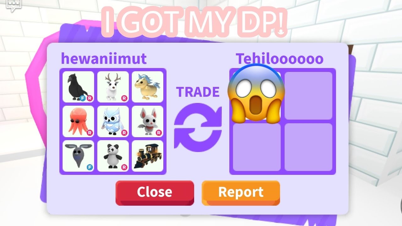 OMGG I GOT MY DP Shout Out To Sheera Scherman Adopt Me Roblox YouTube
