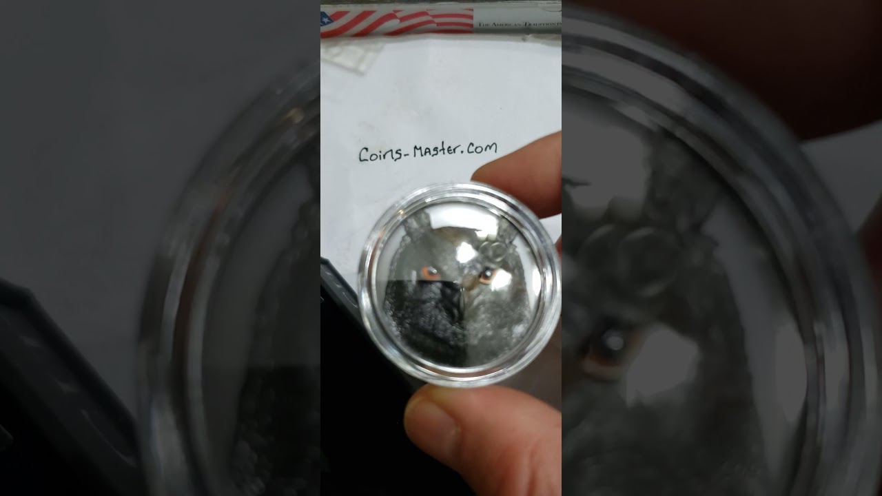 2021 2 Oz BLACK PROOF Silver $10 Palau EAGLE OWL Hunters By Night Coin.  