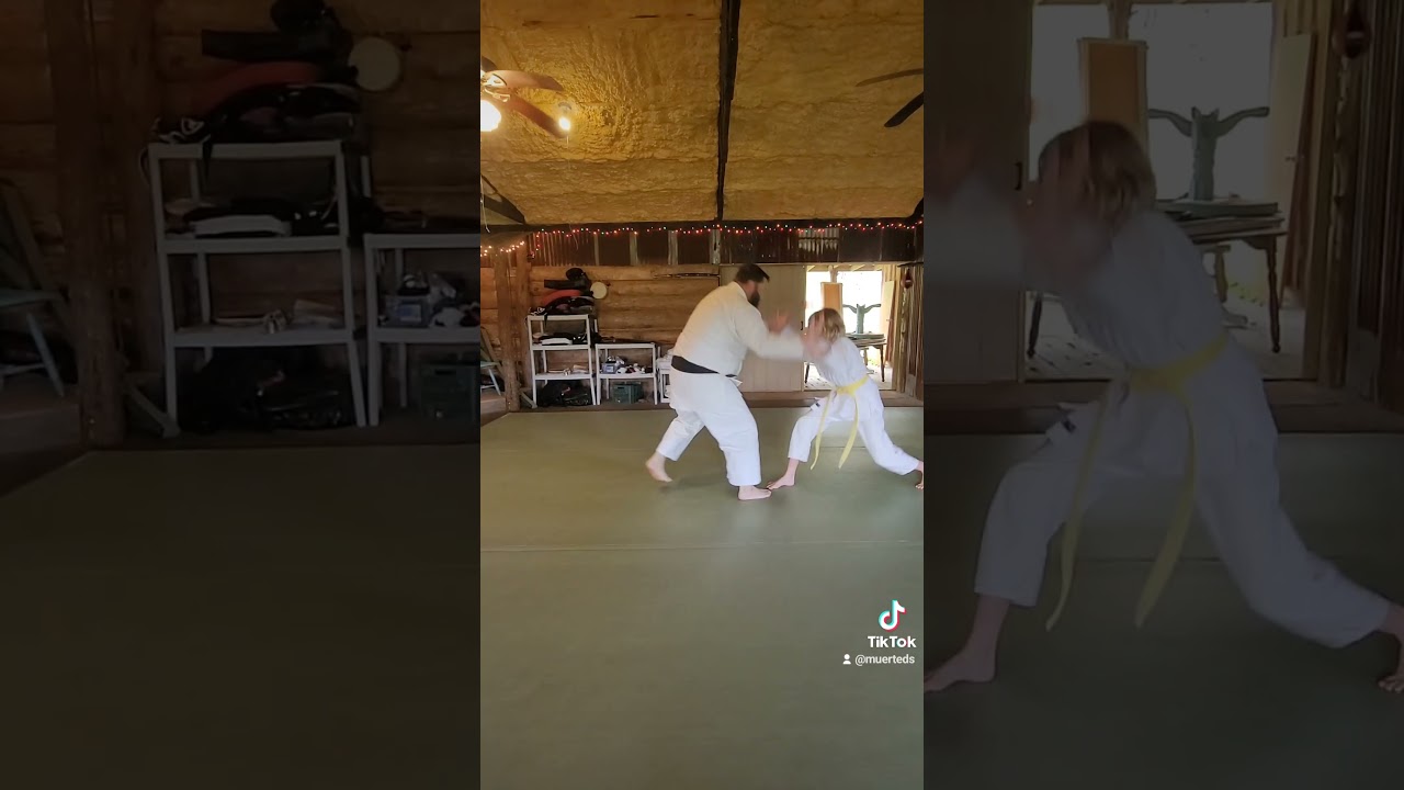 Short Danzan Ryu Yawara demo. Ryote tori: both hand technique