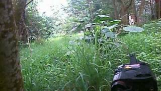 20100418 Airsoft Game