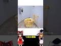 【ゆっくり解説】18金の便器（使用可能）