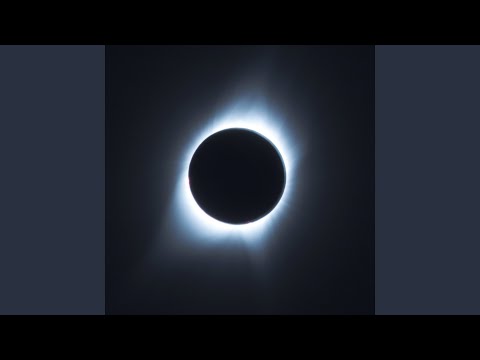 Metric Systems — Laika