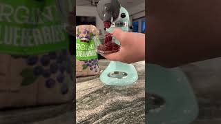 Kitchenaid Ice Cream Attachment Review