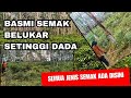 Basmi gulma rapat setinggi dada. Semua jenis gulma ada disini.