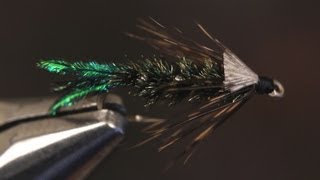 Zug Bug