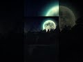 Ava- Famy(Short Lyric)#shorts