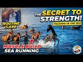 The Secrets of Racehorse Care: From Grooming to Extreme Training at Sea!