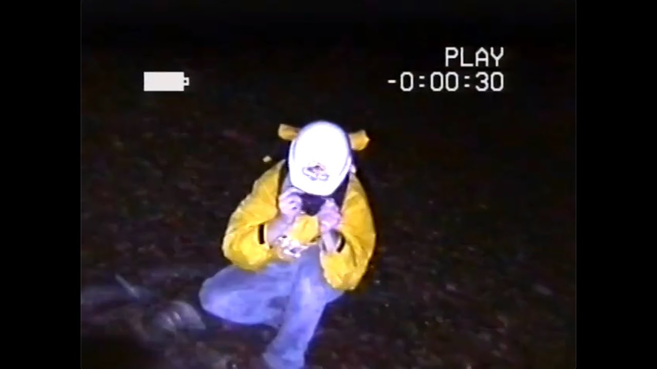 The Aftermath (Jurassic Park Analog Horror) [German]