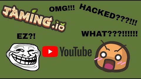 MOST SATISFYING KILL in Taming.io and I GOT HACKED ON YOUTUBE!!!  and future plans - Taming.io