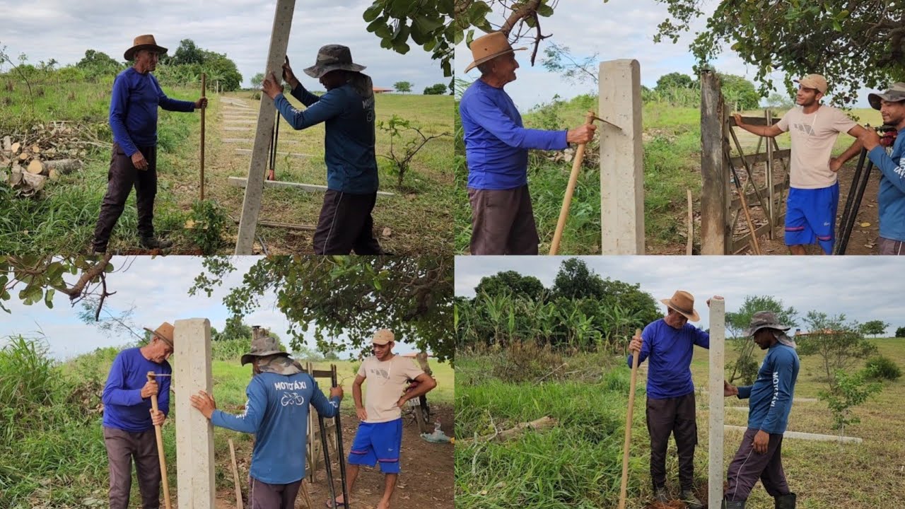 Já começou colocar as estacas da cerca + vejam como esta ficando!