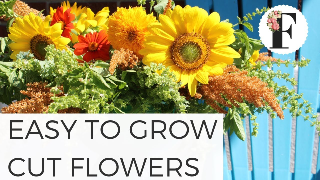 Easy To Grow Cut Flowers For First Cut Flower Garden Growing Flowers 