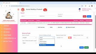 Anmolwebportal Maternal Death screenshot 2