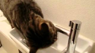 20110223 2241 abf92f8633b48fbeccf21d2265746762