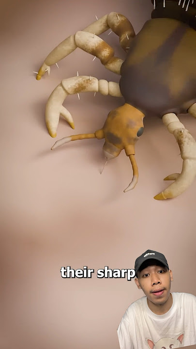 KOK GATEL BANGET SIH😱#trending #trendingshorts #remix #fyp #shortsviral #musang