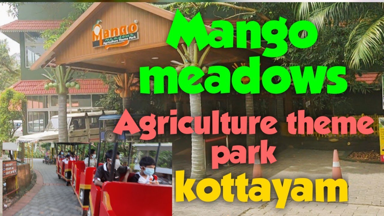 Mango meadows  Agriculture  Theme work  |kaduthuruthi | Kottayam | kerala | India |