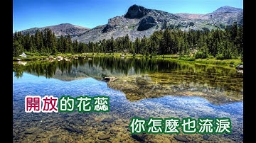 鄧麗君 ~ 美酒加咖啡