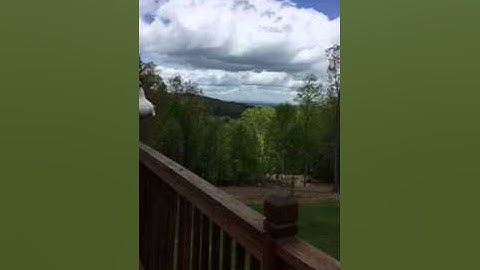 SLO-MO TREE SWALLOWS CATCHING A FEATHER FROM ME
