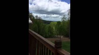 SLO-MO TREE SWALLOWS CATCHING A FEATHER FROM ME