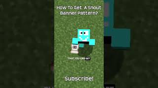 How To Get A Snout Banner Pattern? In Minecraft!