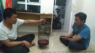 Bukan hak anda untuk bertanya