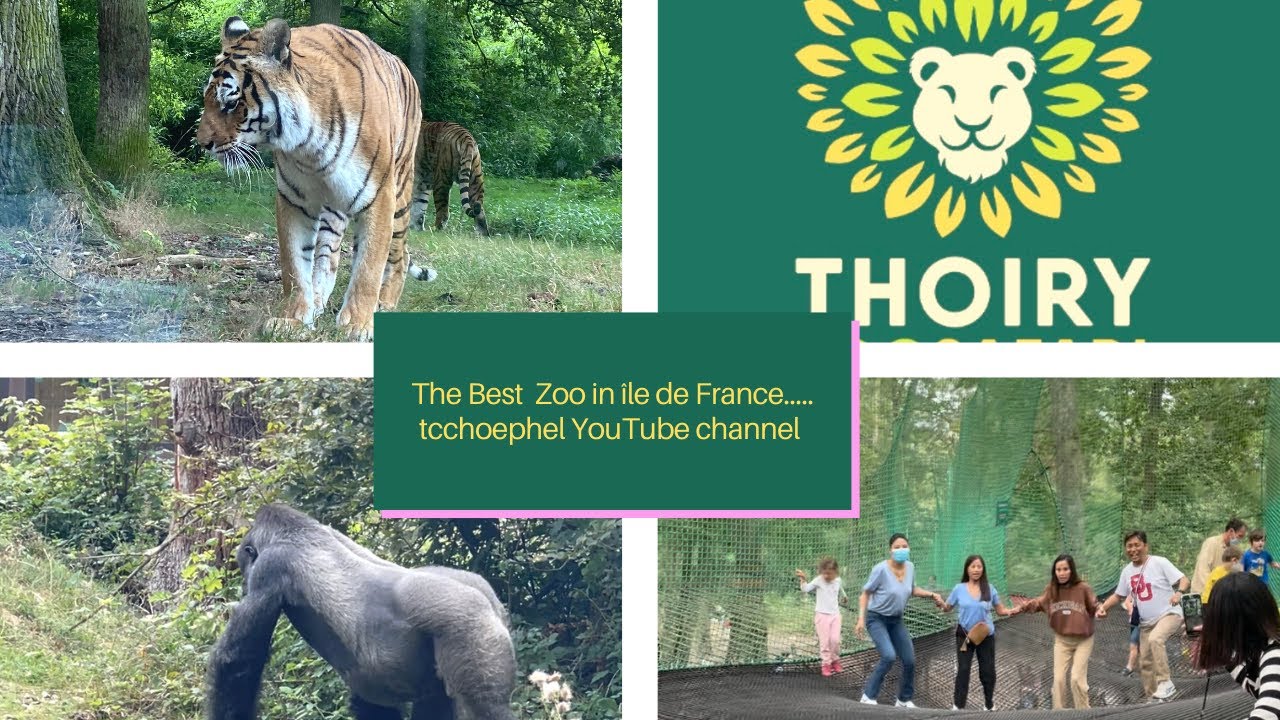 THe Best ZOO In PARIS.Ile de France.THOIRY ZooSAFARI