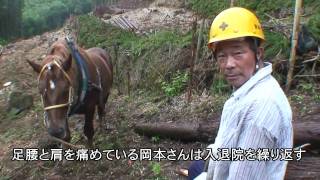 【探訪】地駄引き馬 　伝統守る絆