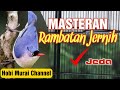 Masteran Rambatan Gacor Jernih Jeda Terbaik Untuk Variasi Tembakan Murai Batu Mp3 - Mp4 Download